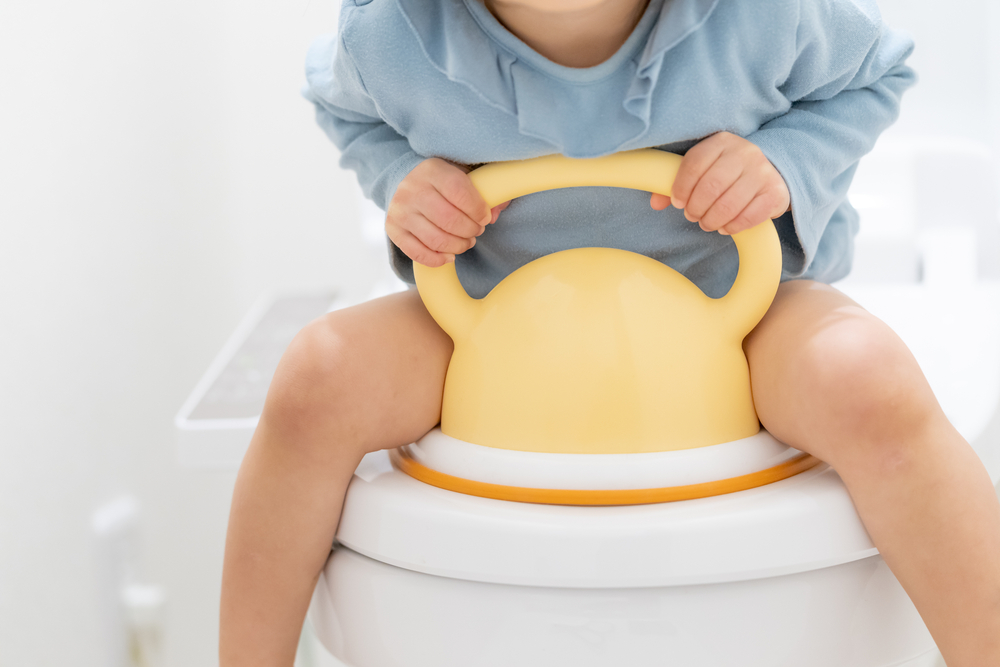 Réducteur de toilette : Tests et avis sur les meilleurs modéles de 2024